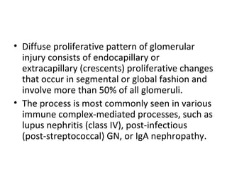 Diffuse proliferative pattern of glomerular injury consists of endocapillary or extracapillary (crescents) proliferative changes that occur in segmental or global fashion and involve more than 50% of all glomeruli.  The process is most commonly seen in various immune complex-mediated processes, such as lupus nephritis (class IV), post-infectious (post-streptococcal) GN, or IgA nephropathy.  