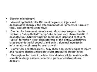 Electron microscopy:  Visceral epithelial cells: Different degrees of injury and degenerative changes; the effacement of foot processes is usually focal, but sometimes extensive Glomerular basement membranes: May show irregularities in thickness. Subepithelial “hump”-like deposits are characteristic of postinfectious GN; they may be sometimes large and confluent. “Spike” formation is not characteristic of this entity. Sometimes large subendothelial deposits and an intraluminal increase in inflammatory cells may be seen as well Glomerular endothelial cells: May show non-specific signs of injury and reactive changes; tubuloreticular structures are not seen Mesangium: Increase in cellularity and extracellular matrix, with sometimes large and confluent fine granular electron-dense deposits 
