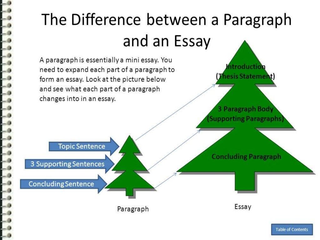 difference between paragraph and essay pdf