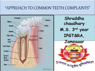 “APPROACH TO COMMON TEETH COMPLAINTS”
Shraddha
chaudhary
M.S. 3rd year
IPGT&RA,
Jamnagar
 