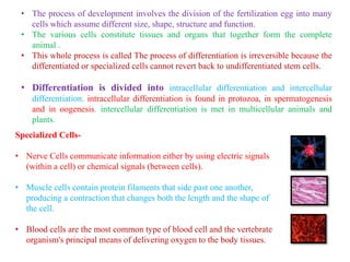 Diffrentiation,Cell diffrentiation,Types of differentiation,Mechanism…