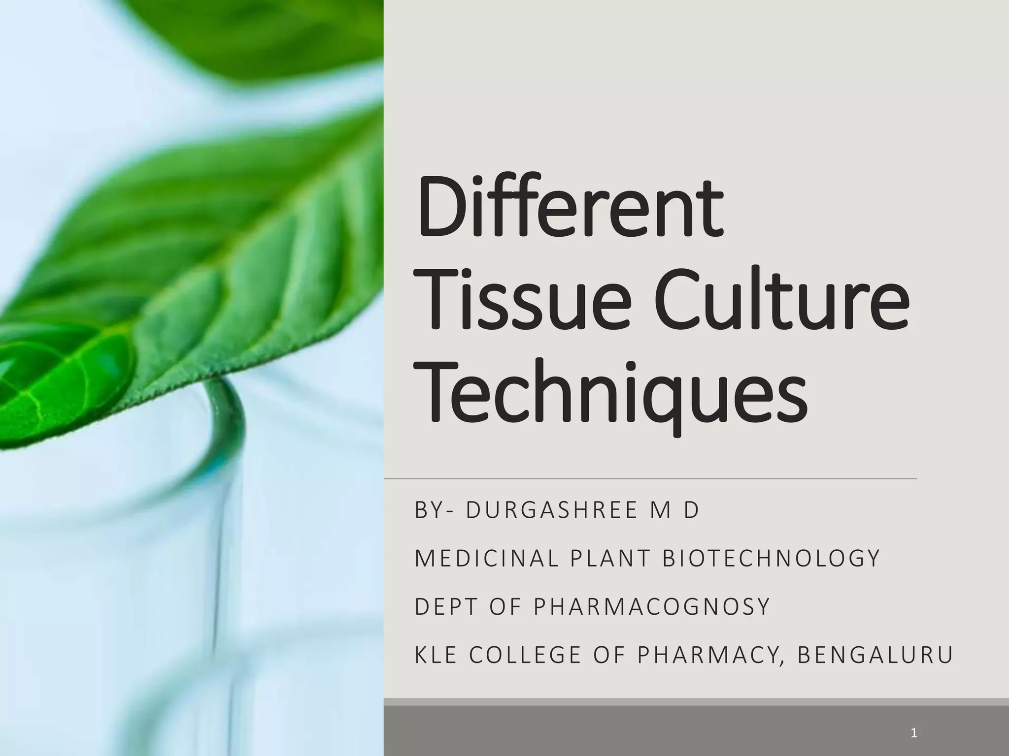 Diff Tissue Culture Tech- Durgashree Diwakar | PPT