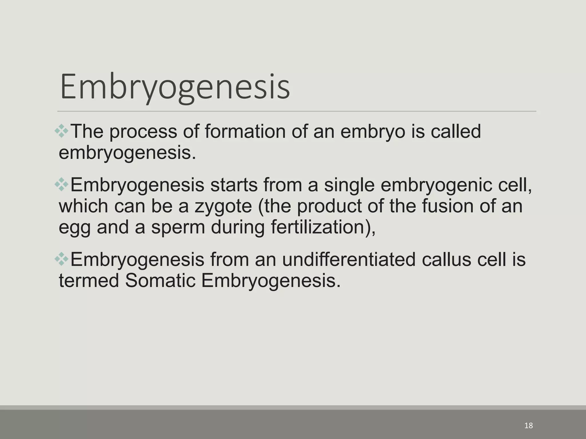Embryogenesis
The process of formation of an embryo is called
embryogenesis.
Embryogenesis starts from a single embryogenic cell,
which can be a zygote (the product of the fusion of an
egg and a sperm during fertilization),
Embryogenesis from an undifferentiated callus cell is
termed Somatic Embryogenesis.
18
 