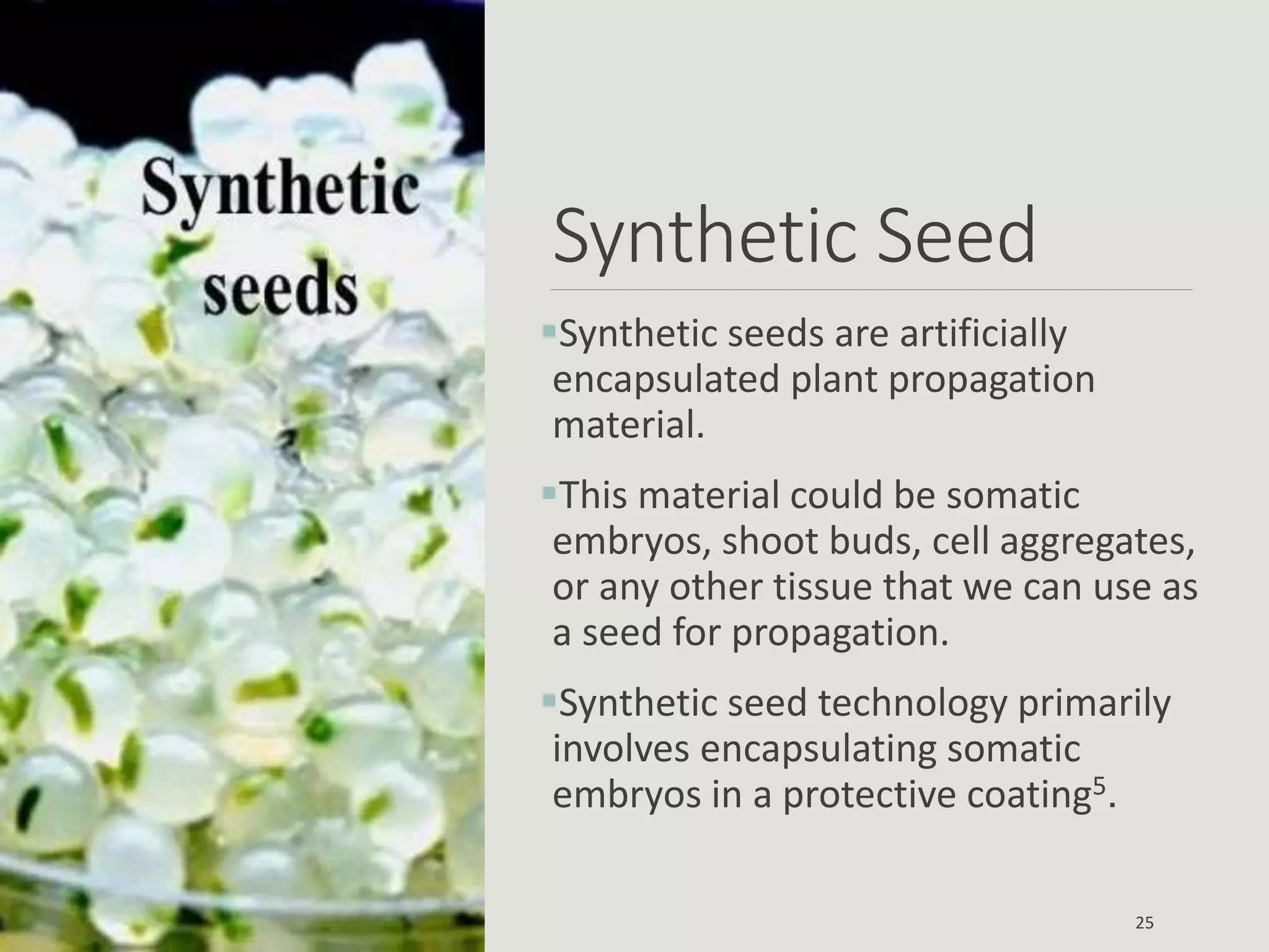Synthetic Seed
Synthetic seeds are artificially
encapsulated plant propagation
material.
This material could be somatic
embryos, shoot buds, cell aggregates,
or any other tissue that we can use as
a seed for propagation.
Synthetic seed technology primarily
involves encapsulating somatic
embryos in a protective coating5.
25
 