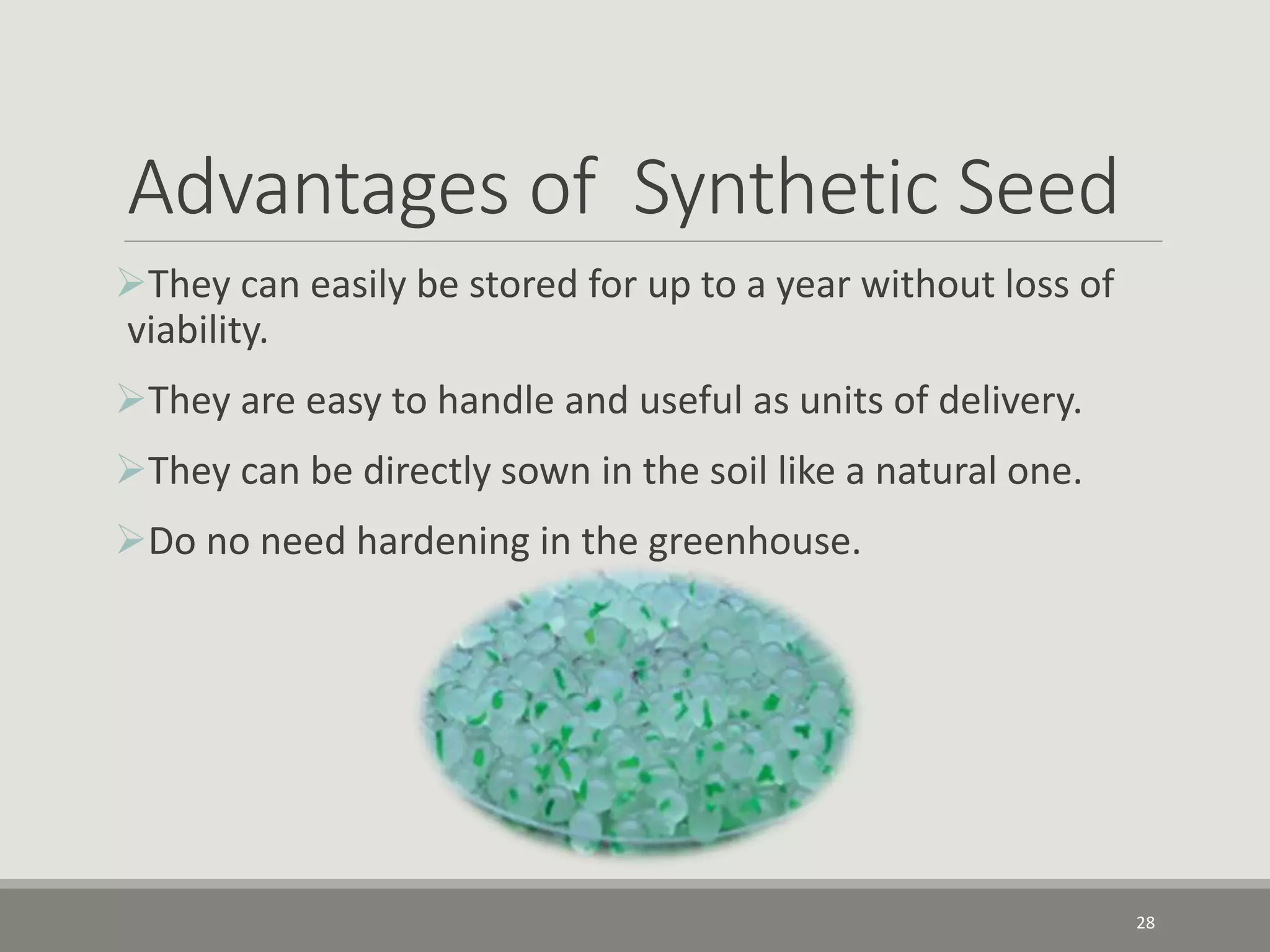 Advantages of Synthetic Seed
They can easily be stored for up to a year without loss of
viability.
They are easy to handle and useful as units of delivery.
They can be directly sown in the soil like a natural one.
Do no need hardening in the greenhouse.
28
 