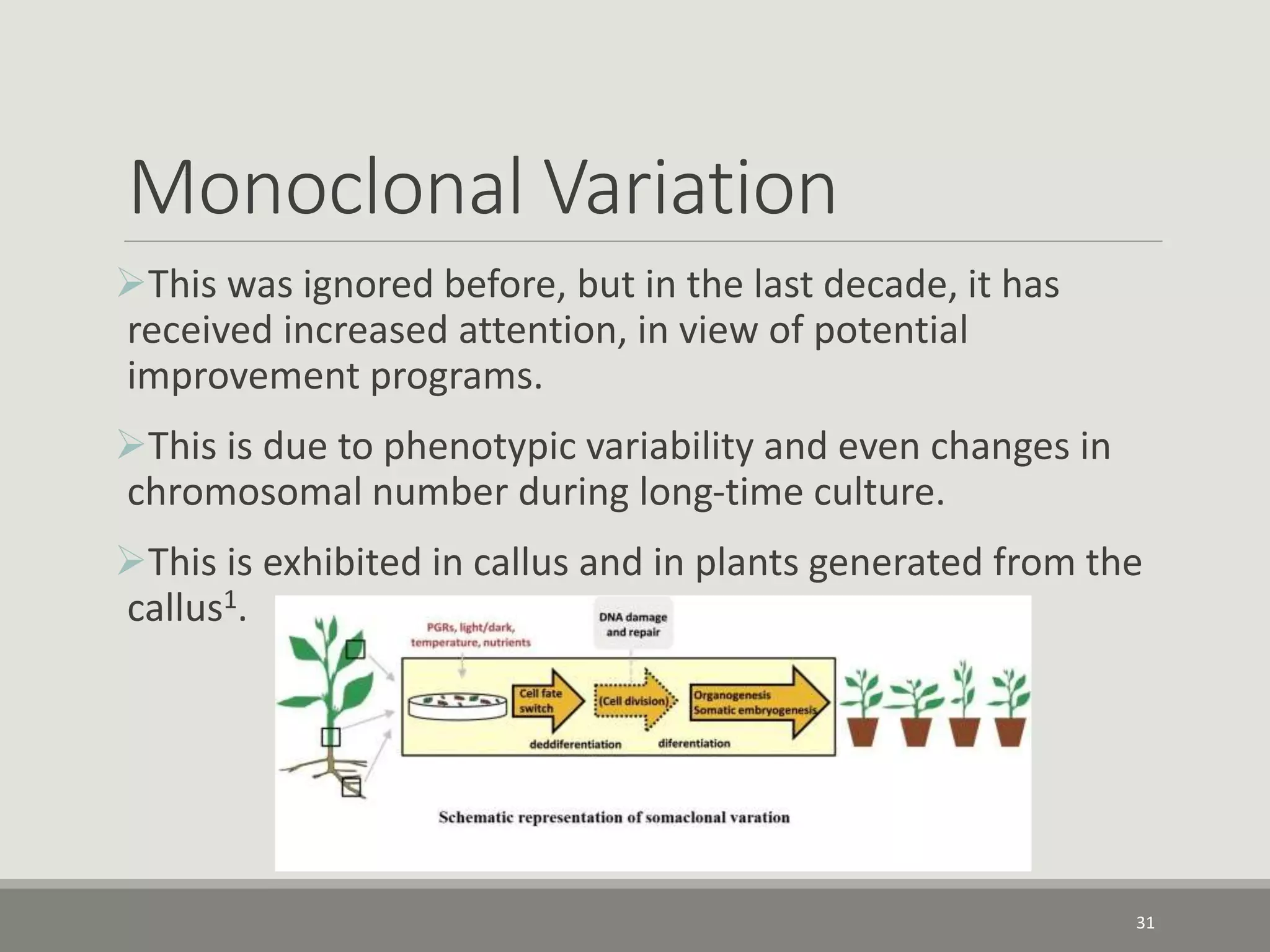 Monoclonal Variation
This was ignored before, but in the last decade, it has
received increased attention, in view of potential
improvement programs.
This is due to phenotypic variability and even changes in
chromosomal number during long-time culture.
This is exhibited in callus and in plants generated from the
callus1.
31
 