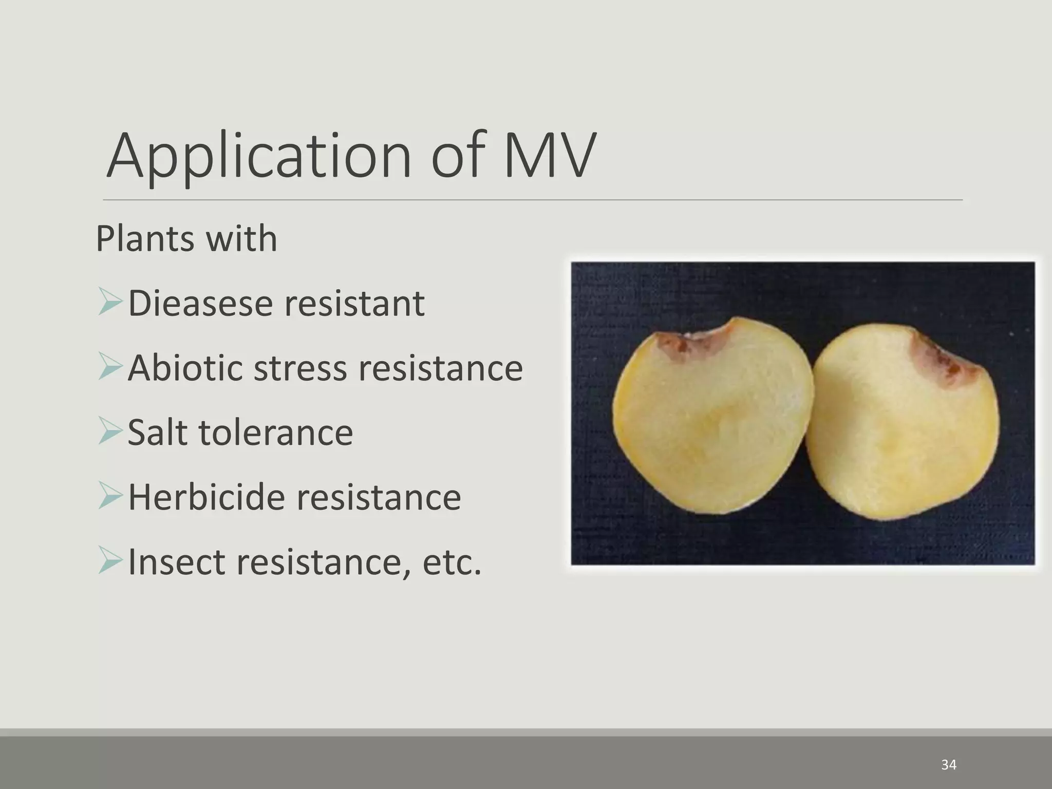 Application of MV
Plants with
Dieasese resistant
Abiotic stress resistance
Salt tolerance
Herbicide resistance
Insect resistance, etc.
34
 