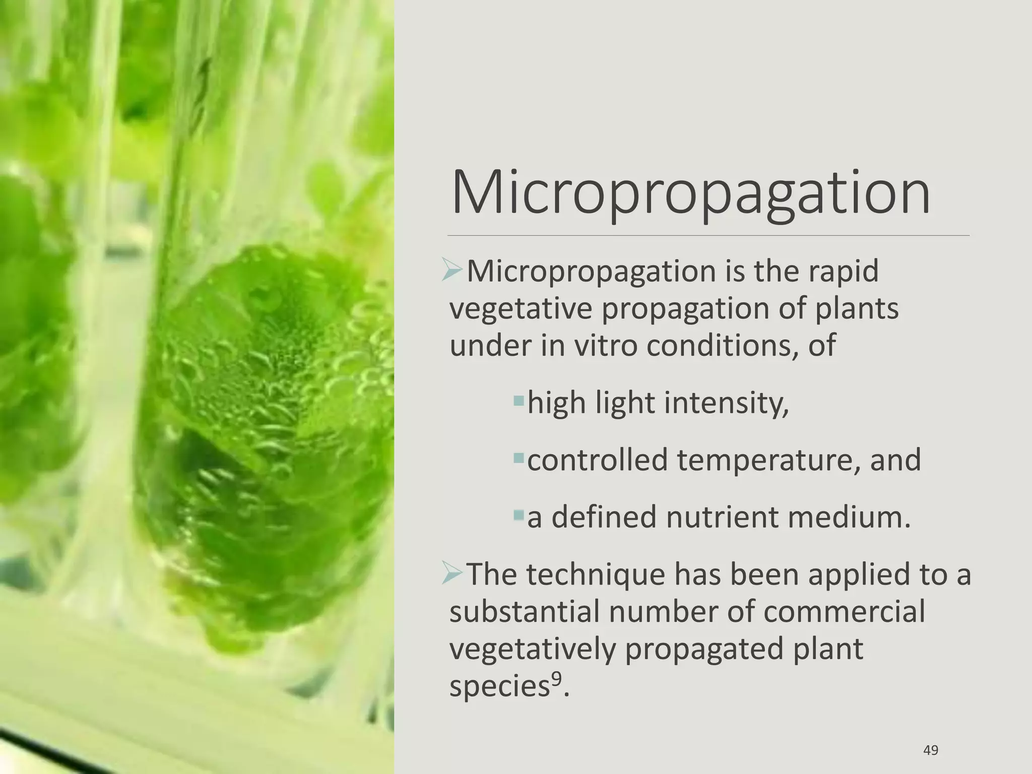 Micropropagation
Micropropagation is the rapid
vegetative propagation of plants
under in vitro conditions, of
high light intensity,
controlled temperature, and
a defined nutrient medium.
The technique has been applied to a
substantial number of commercial
vegetatively propagated plant
species9.
49
 