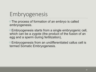 Embryogenesis
The process of formation of an embryo is called
embryogenesis.
Embryogenesis starts from a single embryogenic cell,
which can be a zygote (the product of the fusion of an
egg and a sperm during fertilization),
Embryogenesis from an undifferentiated callus cell is
termed Somatic Embryogenesis.
18
 