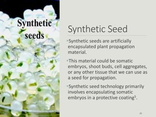 Synthetic Seed
Synthetic seeds are artificially
encapsulated plant propagation
material.
This material could be somatic
embryos, shoot buds, cell aggregates,
or any other tissue that we can use as
a seed for propagation.
Synthetic seed technology primarily
involves encapsulating somatic
embryos in a protective coating5.
25
 