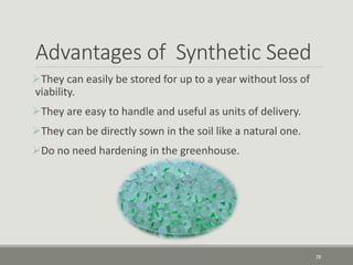 Advantages of Synthetic Seed
They can easily be stored for up to a year without loss of
viability.
They are easy to handle and useful as units of delivery.
They can be directly sown in the soil like a natural one.
Do no need hardening in the greenhouse.
28
 