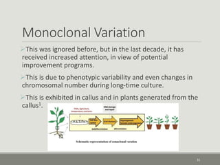 Monoclonal Variation
This was ignored before, but in the last decade, it has
received increased attention, in view of potential
improvement programs.
This is due to phenotypic variability and even changes in
chromosomal number during long-time culture.
This is exhibited in callus and in plants generated from the
callus1.
31
 