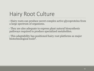 Hairy Root Culture
Hairy roots can produce secret complex active glycoproteins from
a large spectrum of organisms.
They are also adequate to express plant natural biosynthesis
pathways required to produce specialized metabolites.
This adaptability has positioned hairy root platforms as major
biotechnological tools8.
44
 