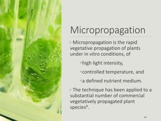 Micropropagation
Micropropagation is the rapid
vegetative propagation of plants
under in vitro conditions, of
high light intensity,
controlled temperature, and
a defined nutrient medium.
The technique has been applied to a
substantial number of commercial
vegetatively propagated plant
species9.
49
 