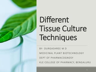 Different
Tissue Culture
Techniques
BY- DURGASHREE M D
MEDICINAL PLANT BIOTECHNOLOGY
DEPT OF PHARMACOGNOSY
KLE COLLEGE OF PHARMACY, BENGALURU
1
 