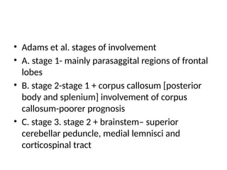 Diffuse Axonal Injury IN ACASE OF ROA TRAFFIC ACCIDENT.pptx