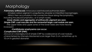Morphology
Pulmonary anthracosis: innocuous coal-induced pulmonary lesion
-Inhaled carbon pigment is engulfed by alveolar or interstitial macrophages.
-Which then accumulate in the connective tissue along the lymphatics,
including the pleural lymphatics, or in lymph nodes.
Linear streaks and aggregates of anthracotic pigment are seen.
Simple CWP: coal macules and the somewhat larger coal nodule are seen.
-The upper lobes and upper zones of the lower lobes are more heavily
involved.C
-Centrilobular emphysema can occur.
Complicated CWP (PMF)
Occurs on a background of simple CWP by coalescence of coal nodules
characterized by intensely blackened scars larger than 2 cm, sometimes up to
10 cm in greatest diameter
 