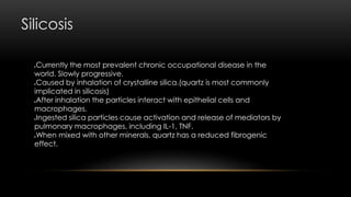 Silicosis
Currently the most prevalent chronic occupational disease in the
world. Slowly progressive.
Caused by inhalation of crystalline silica.(quartz is most commonly
implicated in silicosis)
After inhalation the particles interact with epithelial cells and
macrophages.
Ingested silica particles cause activation and release of mediators by
pulmonary macrophages, including IL-1, TNF.
When mixed with other minerals, quartz has a reduced fibrogenic
effect.
 