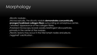 Morphology
Silicotic nodules .
Microscopically, the silicotic nodule demonstrates concentrically
arranged hyalinized collagen fibers surrounding an amorphous center.
"whorled" appearance of the collagen fibres.
Polarized microscopy reveals weakly birefringent silica particles,
primarily in the center of the nodules.
Fibrotic lesions may occur in the hilar lymph nodes and pleura.
"eggshell" calcification .
 