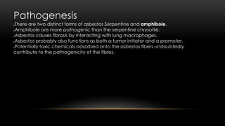 Pathogenesis
There are two distinct forms of asbestos Serpentine and amphibole.
Amphibole are more pathogenic than the serpentine chrysotile.
Asbestos causes fibrosis by interacting with lung macrophages.
Asbestos probably also functions as both a tumor initiator and a promoter.
Potentially toxic chemicals adsorbed onto the asbestos fibers undoubtedly
contribute to the pathogenicity of the fibres.
 