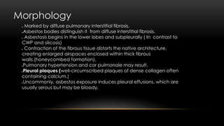 Morphology
 Marked by diffuse pulmonary interstitial fibrosis.
Asbestos bodies distinguish it from diffuse interstitial fibrosis.
 Asbestosis begins in the lower lobes and subpleurally ( In contrast to
CWP and silicosis)
 Contraction of the fibrous tissue distorts the native architecture,
creating enlarged airspaces enclosed within thick fibrous
walls.(honeycombed formation).
Pulmonary hypertension and cor pulmonale may result.
Pleural plaques (well-circumscribed plaques of dense collagen often
containing calcium.)
Uncommonly, asbestos exposure induces pleural effusions, which are
usually serous but may be bloody.
 