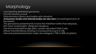 Morphology
noncaseating epithelioid granuloma.
Central necrosis unusual
Granulomatous fibrous and hyaline with chronicity.
Schaumann bodies and Asteroid bodies are also seen (not pathognomonic of
sarcoidosis) .
The granulomas predominantly involve the interstitium rather than airspaces,
with some "lymphangitic" distribution tendency.
The bronchoalveolar lavage (BAL) contains abundant CD4+T cells.
Diffuse interstitial fibrosis resulting in a honeycomb lung in 5-15%.
hilar and paratracheal lymph nodes are enlarged in 75% to 90% of patients.
 