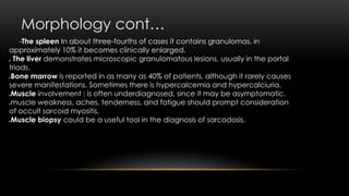 Morphology cont…
-The spleen In about three-fourths of cases it contains granulomas, in
approximately 10% it becomes clinically enlarged.
 The liver demonstrates microscopic granulomatous lesions, usually in the portal
triads.
Bone marrow is reported in as many as 40% of patients, although it rarely causes
severe manifestations. Sometimes there is hypercalcemia and hypercalciuria.
Muscle involvement : is often underdiagnosed, since it may be asymptomatic.
muscle weakness, aches, tenderness, and fatigue should prompt consideration
of occult sarcoid myositis.
Muscle biopsy could be a useful tool in the diagnosis of sarcodosis.
 