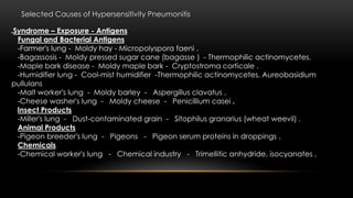 Selected Causes of Hypersensitivity Pneumonitis
Syndrome – Exposure - Antigens
Fungal and Bacterial Antigens
-Farmer's lung - Moldy hay - Micropolyspora faeni .
-Bagassosis - Moldy pressed sugar cane (bagasse ) - Thermophilic actinomycetes.
-Maple bark disease - Moldy maple bark - Cryptostroma corticale .
-Humidifier lung - Cool-mist humidifier -Thermophilic actinomycetes, Aureobasidium
pullulans
-Malt worker's lung - Moldy barley - Aspergillus clavatus .
-Cheese washer's lung - Moldy cheese - Penicillium casei .
Insect Products
-Miller's lung - Dust-contaminated grain - Sitophilus granarius (wheat weevil) .
Animal Products
-Pigeon breeder's lung - Pigeons - Pigeon serum proteins in droppings .
Chemicals
-Chemical worker's lung - Chemical industry - Trimellitic anhydride, isocyanates .
 