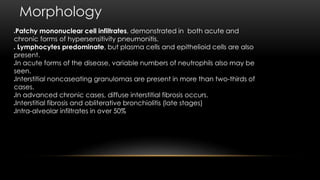 Morphology
Patchy mononuclear cell infiltrates, demonstrated in both acute and
chronic forms of hypersensitivity pneumonitis.
 Lymphocytes predominate, but plasma cells and epithelioid cells are also
present.
In acute forms of the disease, variable numbers of neutrophils also may be
seen.
Interstitial noncaseating granulomas are present in more than two-thirds of
cases.
In advanced chronic cases, diffuse interstitial fibrosis occurs.
Interstitial fibrosis and obliterative bronchiolitis (late stages)
Intra-alveolar infiltrates in over 50%
 