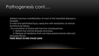 Pathogenesis cont.…
Earliest common manifestation of most of the interstitial diseases is
alveolitis.
In mild and self-limited injury, resolution with restoration of normal
architecture follows.
 Accumulation of leukocytes has two consequences.
-1. Distorts the normal alveolar structures .
-2. Release of mediators that can injure parenchymal cells and
stimulate fibrosis
THESE RESULT IN END STAGE LUNG
 