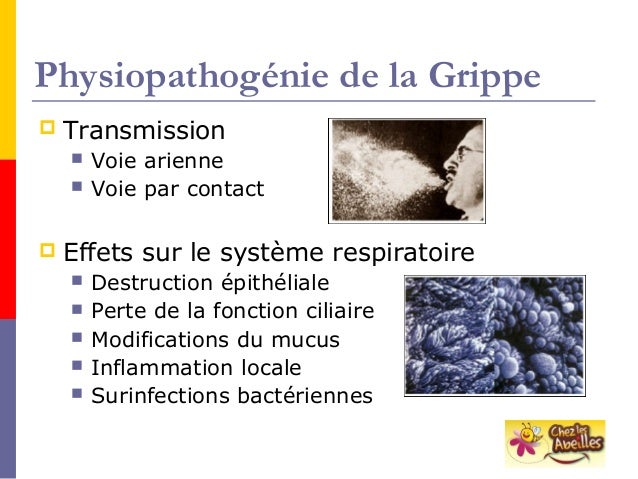 Diffuseurs de Propolis: Un Remede Naturel contre la Grippe Diffuseurs de Propolis: Un Remede Naturel contre la Grippe