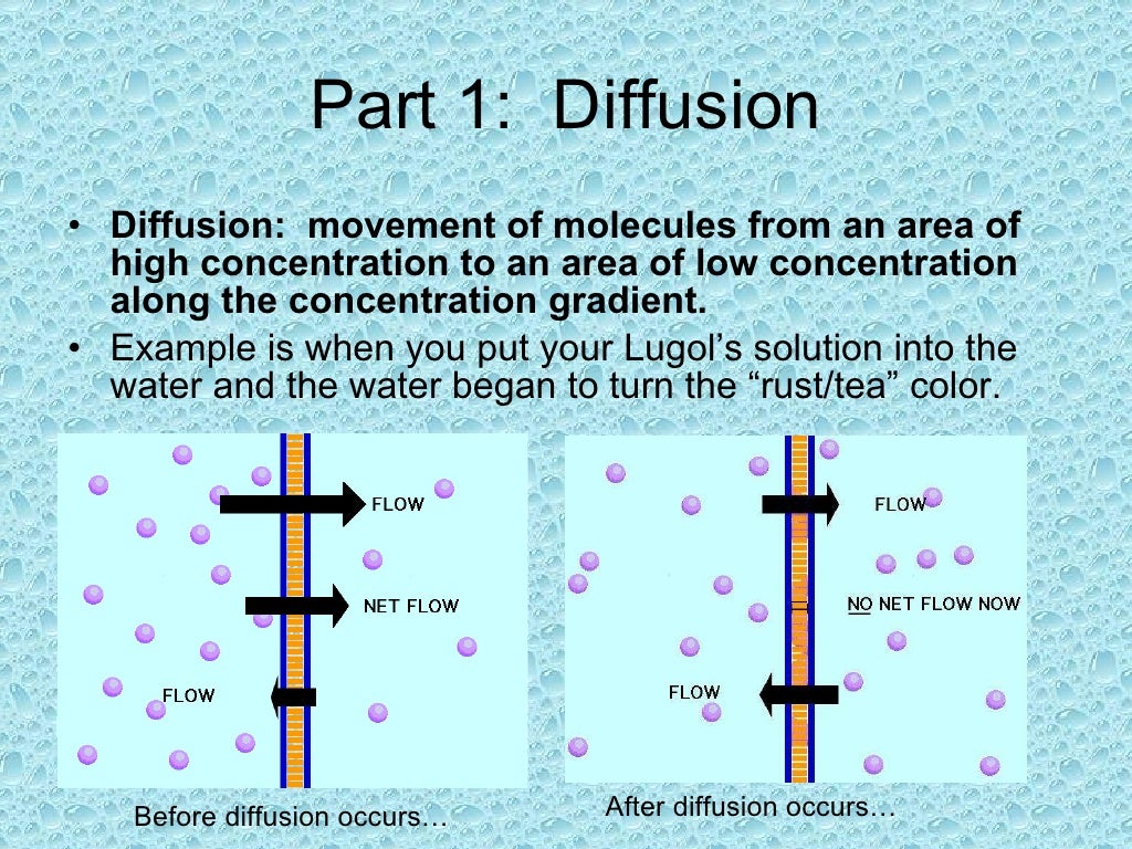 Diffusion