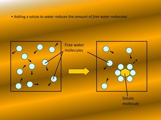  When water molecules bump into particles of a soluble substance, they stick to them</li></li></ul><li><ul><li> When the w...