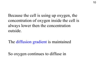 Because the cell is using up oxygen, the
concentration of oxygen inside the cell is
always lower then the concentration
outside.
So oxygen continues to diffuse in
The diffusion gradient is maintained
10
 