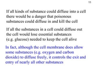If all kinds of substance could diffuse into a cell
there would be a danger that poisonous
substances could diffuse in and kill the cell
If all the substances in a cell could diffuse out
the cell would lose essential substances
(e.g. glucose) needed to keep the cell alive
In fact, although the cell membrane does allow
some substances (e.g. oxygen and carbon
dioxide) to diffuse freely, it controls the exit and
entry of nearly all other substances
11
 