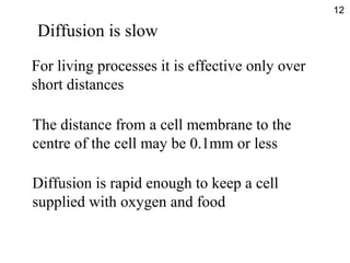 For living processes it is effective only over
short distances
The distance from a cell membrane to the
centre of the cell may be 0.1mm or less
Diffusion is rapid enough to keep a cell
supplied with oxygen and food
12
Diffusion is slow
 