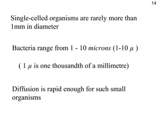 Single-celled organisms are rarely more than
1mm in diameter
Bacteria range from 1 - 10 microns (1-10 µ )
( 1 µ is one thousandth of a millimetre)
Diffusion is rapid enough for such small
organisms
14
 