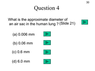 Question 4
What is the approximate diameter of
an air sac in the human lung ?
(a) 0.006 mm
(b) 0.06 mm
(c) 0.6 mm
(d) 6.0 mm
30
(Slide 21)
 