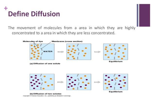 Diffusion (Physical Pharmacy)