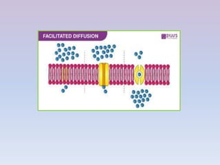 Diffusion | PPTX