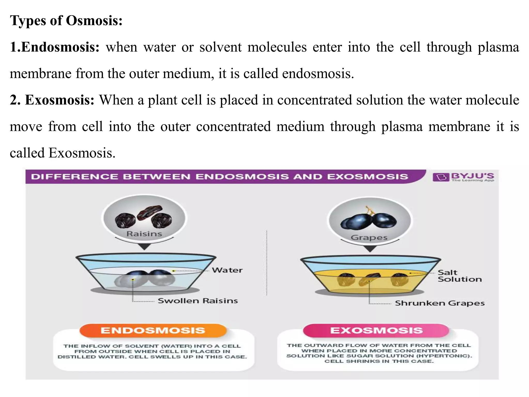 Diffusion.pptx