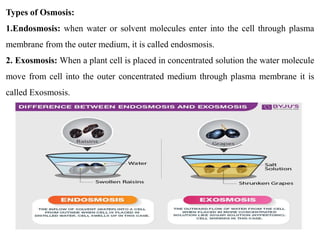 Types of Osmosis:
1.Endosmosis: when water or solvent molecules enter into the cell through plasma
membrane from the outer medium, it is called endosmosis.
2. Exosmosis: When a plant cell is placed in concentrated solution the water molecule
move from cell into the outer concentrated medium through plasma membrane it is
called Exosmosis.
 