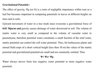Gravitational Potential :
The effect of gravity, Ψg (or G) is a term of negligible importance within root or a
leaf but becomes important in comparing potentials in leaves at different heights on
trees and in soils.
Upward movement of water in a tree trunk must overcome a gravitational force of
0.01 Mpa/m and gravity causes drainage of water downward in soil. The volume of
matric water is very small as compared to the volume of vacuolar water in
parenchyma, therefore potential water constitutes a small fraction of the total water,
matric potential can control the cell water potential. Thus, for herbaceous plants and
annual field crops of a short vertical height (less than 10 m) the values of the matric
potential and gravitational potential are small and are commonly omitted. Thus
Ψ= Ψs+ Ψp
Water always moves from less negative water potential to more negative water
potential.
 