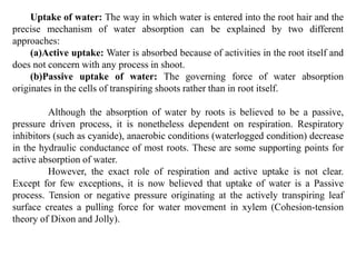 Uptake of water: The way in which water is entered into the root hair and the
precise mechanism of water absorption can be explained by two different
approaches:
(a)Active uptake: Water is absorbed because of activities in the root itself and
does not concern with any process in shoot.
(b)Passive uptake of water: The governing force of water absorption
originates in the cells of transpiring shoots rather than in root itself.
Although the absorption of water by roots is believed to be a passive,
pressure driven process, it is nonetheless dependent on respiration. Respiratory
inhibitors (such as cyanide), anaerobic conditions (waterlogged condition) decrease
in the hydraulic conductance of most roots. These are some supporting points for
active absorption of water.
However, the exact role of respiration and active uptake is not clear.
Except for few exceptions, it is now believed that uptake of water is a Passive
process. Tension or negative pressure originating at the actively transpiring leaf
surface creates a pulling force for water movement in xylem (Cohesion-tension
theory of Dixon and Jolly).
 