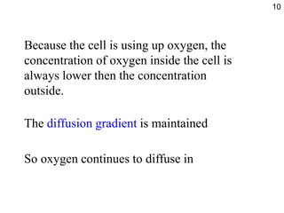 diffusion ppt for concepts | PPT