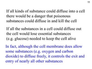 Diffuse Danger Example diffusion ppt for concepts | PPT