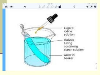 Diffusion-and-Osmosis-1.ppt