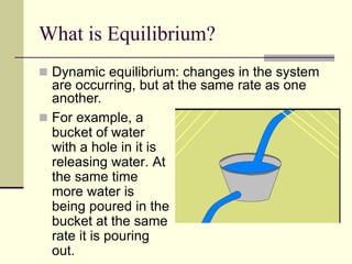 What is Equilibrium?
 For example, a
bucket of water
with a hole in it is
releasing water. At
the same time
more water is
being poured in the
bucket at the same
rate it is pouring
out.
 Dynamic equilibrium: changes in the system
are occurring, but at the same rate as one
another.
 