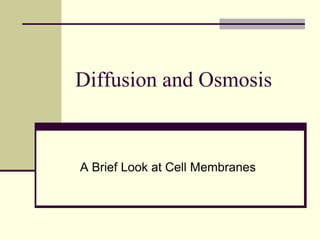 Diffusion and Osmosis
A Brief Look at Cell Membranes
 