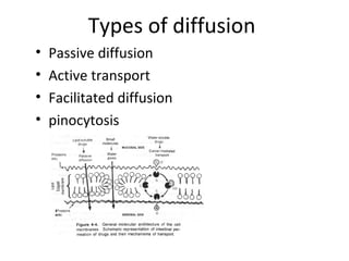 Types of diffusion
•   Passive diffusion
•   Active transport
•   Facilitated diffusion
•   pinocytosis
 